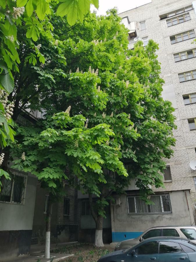 Apartments near the sea Οδησσός Εξωτερικό φωτογραφία